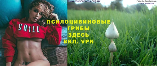 MDMA Premium VHQ Приозерск