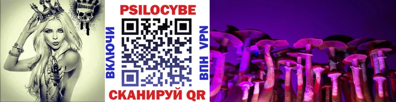 KRAKEN зеркало  дарнет шоп  Кохма  Псилоцибиновые грибы ЛСД 