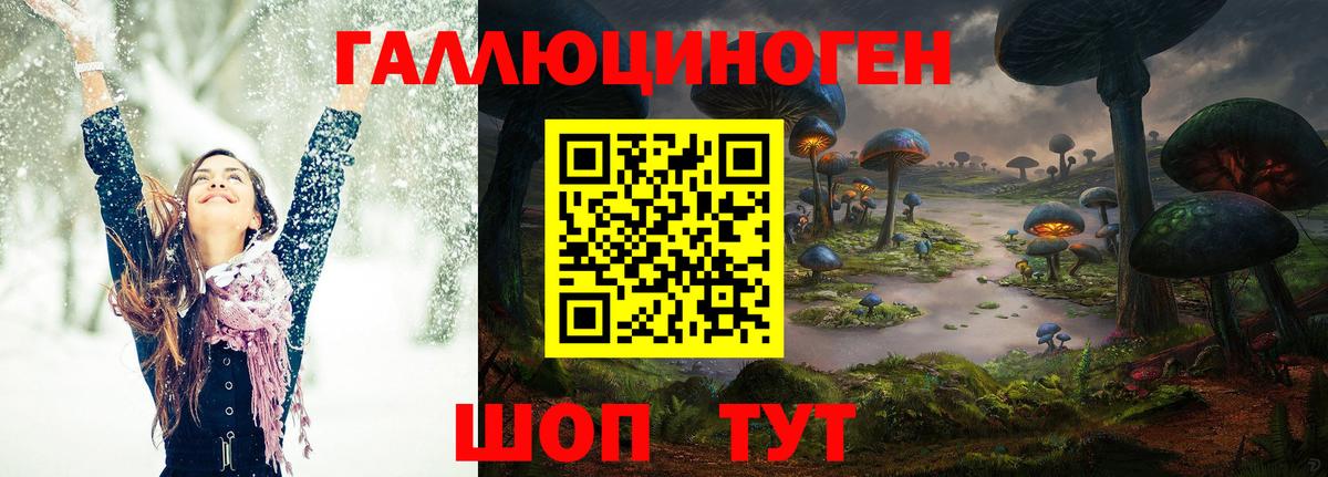 Галлюциногенные грибы Magic Shrooms  Галлюциногенные грибы прущие грибы  Кохма  Вход с VPN 